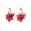 GERANIO CORAL